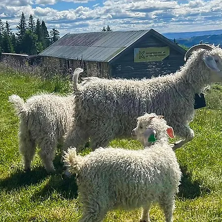 Дом отдыха 4 Bedroom Amazing In *