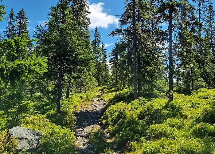 4 Bedroom Amazing In Feriehus Lillehammer