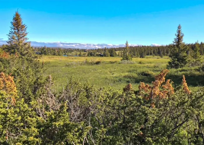 4 Bedroom Amazing In *